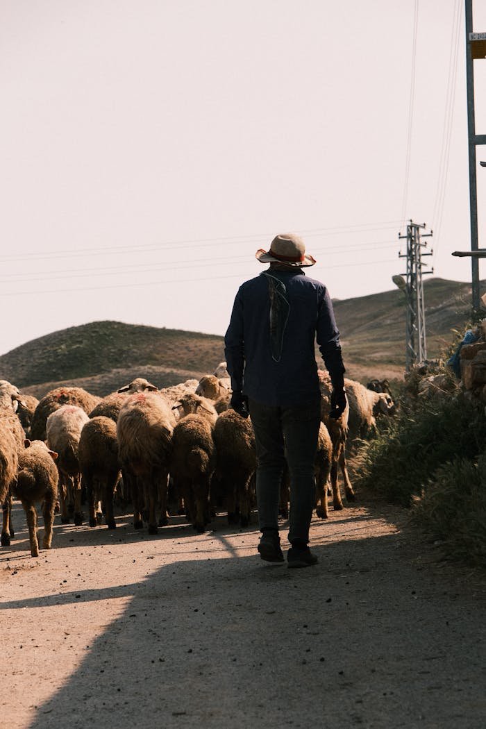 Contactar ganadero en Segovia
